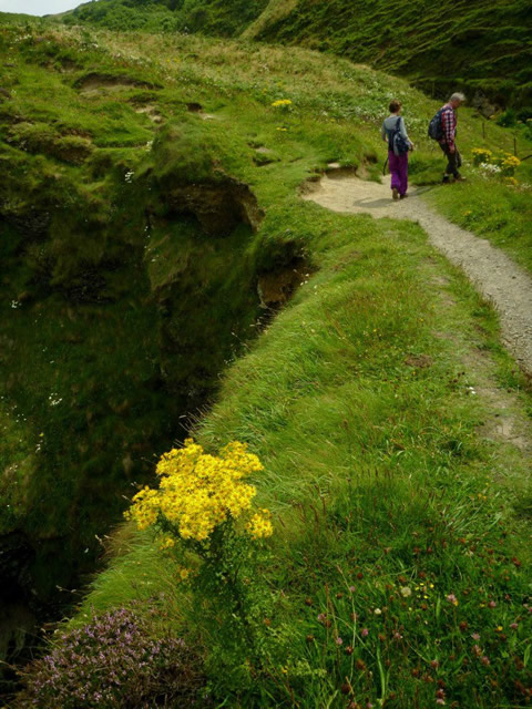 The path to dolgellau The path to dolgellau